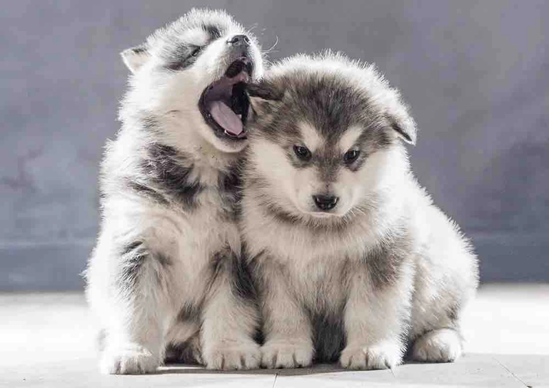 aaaaaaaa